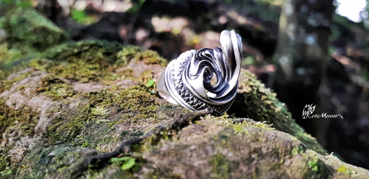 Dual Flow-白銀比Ring