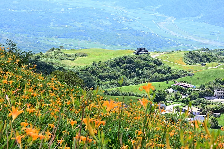 點我看大圖 六十石山實拍:旅遊只帶一顆85mm F1.8 S的可行性,算是還ok!但可能需要手機幫忙。