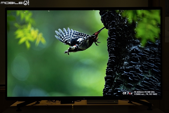 Sony BRAVIA MASTER KD-85Z9G 8K HDR 液晶電視 邁向畫質新『視』代！