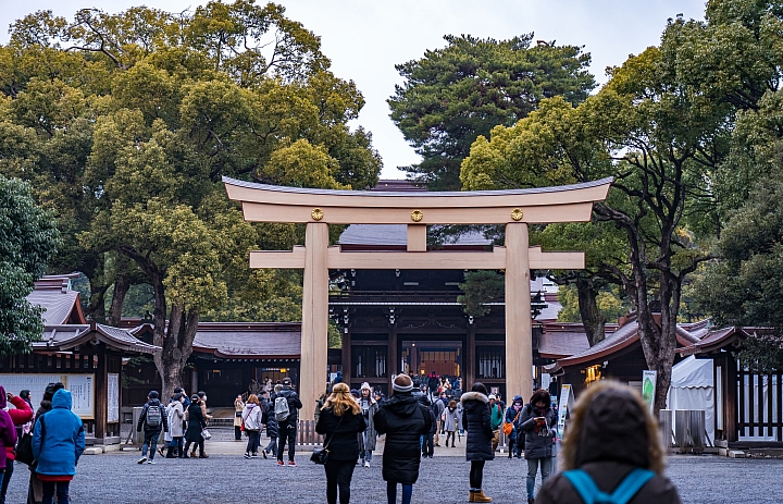 點我看大圖 2019 東京過年 (五天四夜行程分享) 文長圖多
