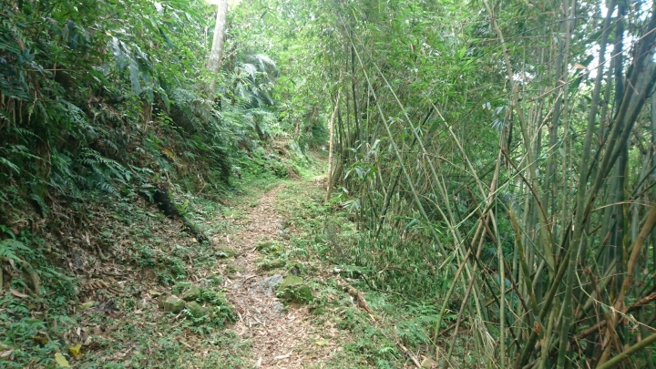 [樂山童盟] [新北石碇] 冷飯坑古道（冷飯坑山-楓子林山-烏月山）