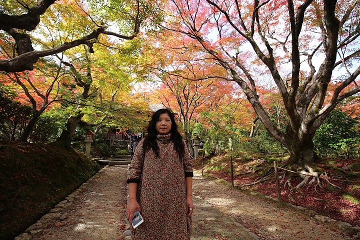 2018京阪神紅葉親子自由行