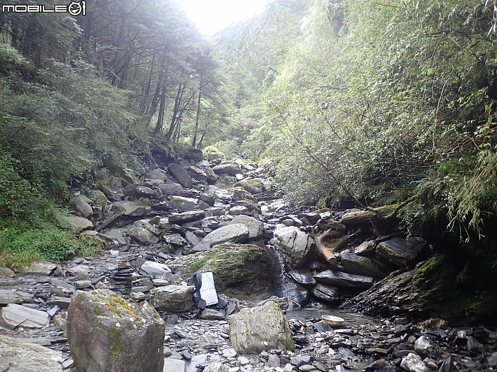 中央山脈大縱走17天(破紀錄)完百旅(904~920)(文長慎入)