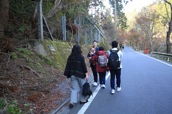 2018京阪神紅葉親子自由行