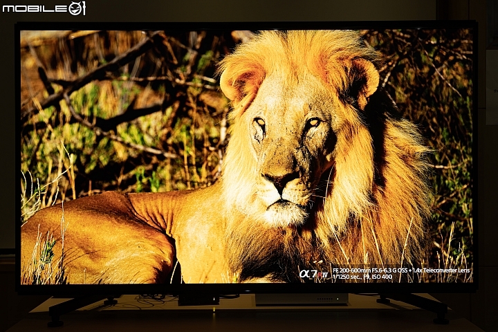Sony BRAVIA MASTER KD-85Z9G 8K HDR 液晶電視 邁向畫質新『視』代！