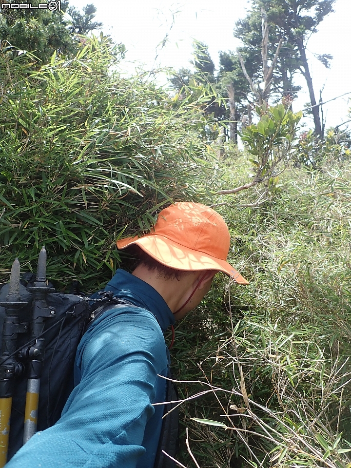 中央山脈大縱走17天(破紀錄)完百旅(904~920)(文長慎入)