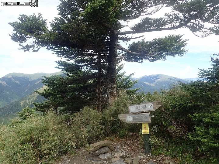 中央山脈大縱走17天(破紀錄)完百旅(904~920)(文長慎入)