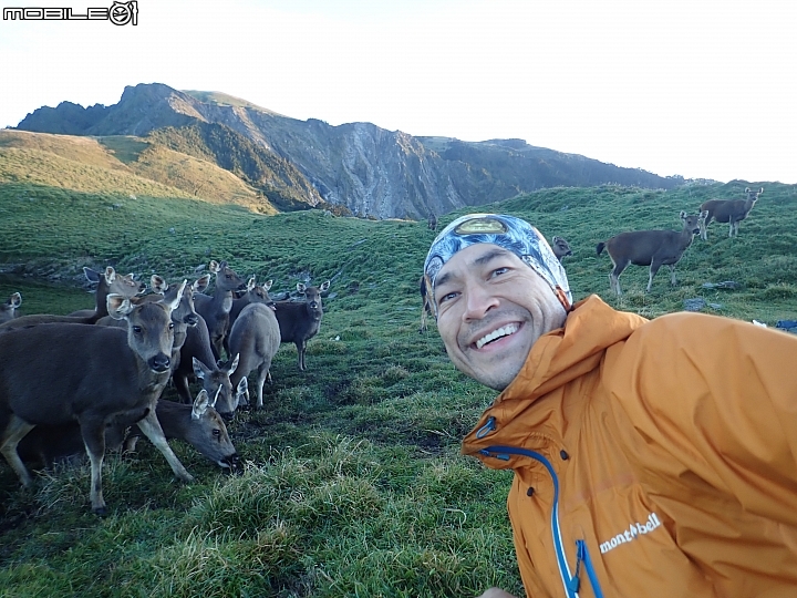 中央山脈大縱走17天(破紀錄)完百旅(904~920)(文長慎入)