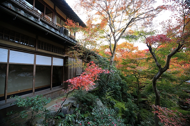 2018京阪神紅葉親子自由行