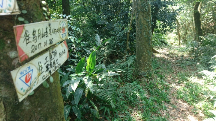 [樂山童盟] [新北石碇] 冷飯坑古道（冷飯坑山-楓子林山-烏月山）