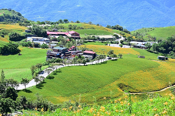 點我看大圖 六十石山實拍:旅遊只帶一顆85mm F1.8 S的可行性,算是還ok!但可能需要手機幫忙。