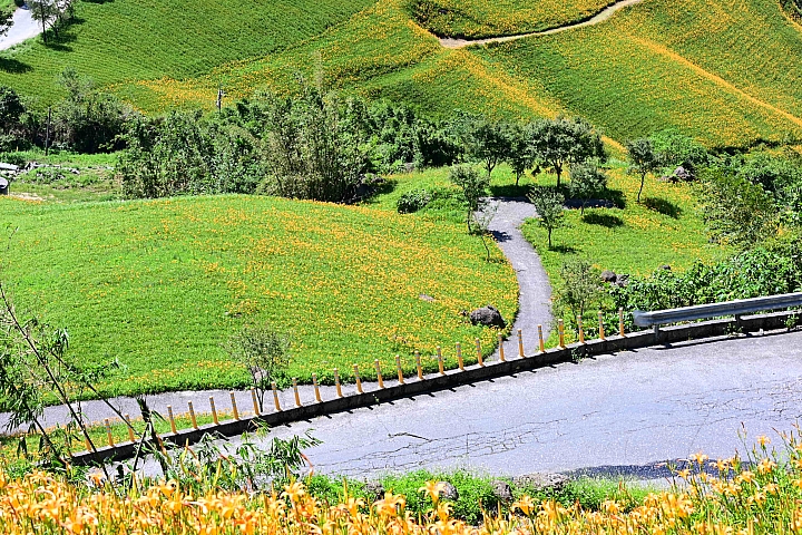 點我看大圖 六十石山實拍:旅遊只帶一顆85mm F1.8 S的可行性,算是還ok!但可能需要手機幫忙。