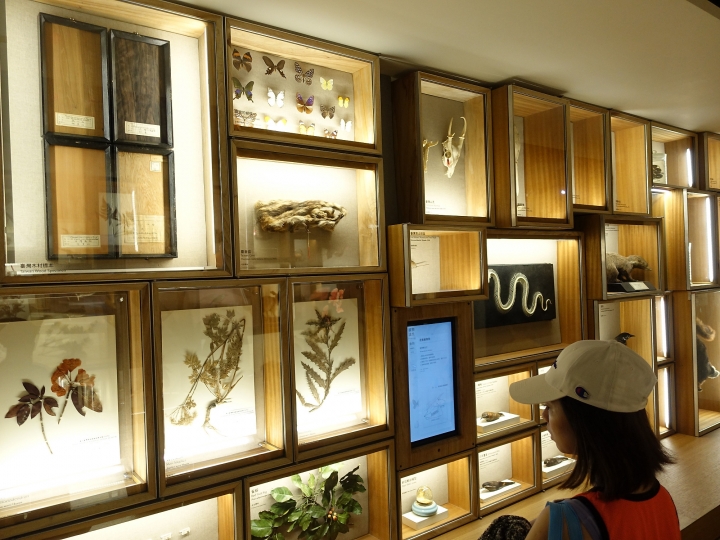 臺北市 中正區 國立臺灣博物館 — 全臺歷史最悠久的博物館