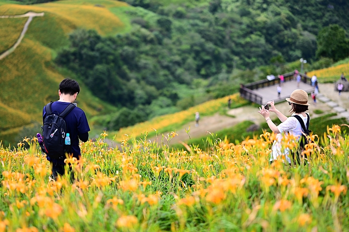 點我看大圖 六十石山實拍:旅遊只帶一顆85mm F1.8 S的可行性,算是還ok!但可能需要手機幫忙。