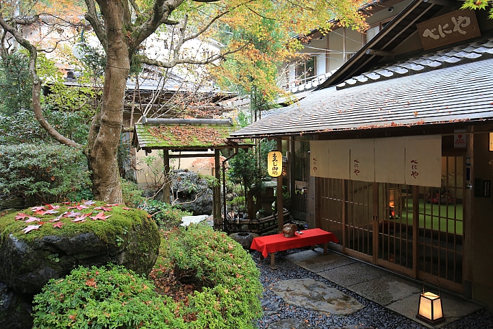 2018京阪神紅葉親子自由行