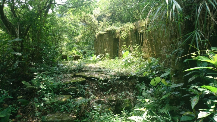 [樂山童盟] [新北石碇] 冷飯坑古道（冷飯坑山-楓子林山-烏月山）
