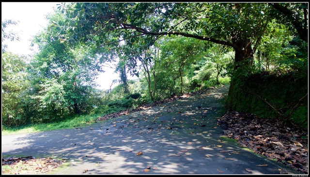 路線紀錄：【二格山】O型（【猴山岳前峰】、【猴山岳】、【阿柔洋山】、【二格山】、【南邦寮山】））