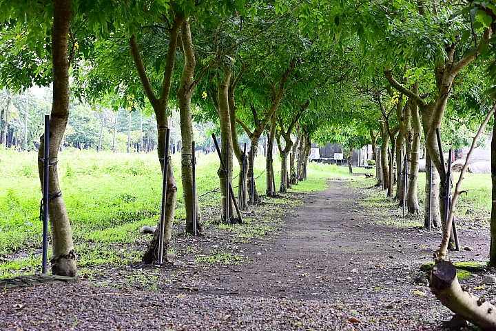 一顆青春洋溢的鏡頭：Nikkor 85mm F1.8 S，不會利到沒朋友，是輕鬆帶著走，拍景拍朋友。