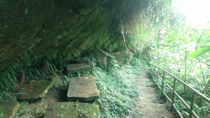 [樂山童盟] [新北石碇] 冷飯坑古道（冷飯坑山-楓子林山-烏月山）