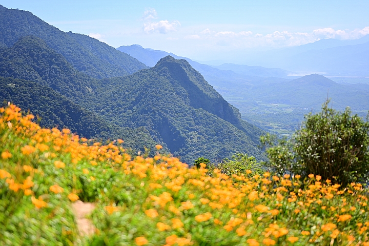 點我看大圖 六十石山實拍:旅遊只帶一顆85mm F1.8 S的可行性,算是還ok!但可能需要手機幫忙。