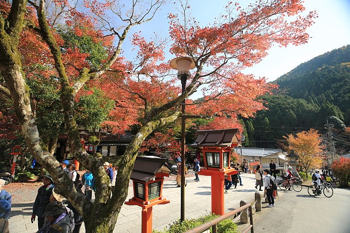 2018京阪神紅葉親子自由行