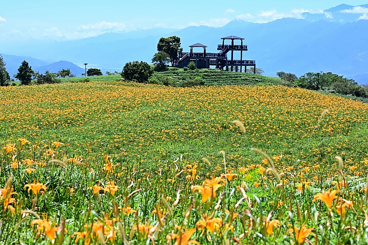 點我看大圖 六十石山實拍:旅遊只帶一顆85mm F1.8 S的可行性,算是還ok!但可能需要手機幫忙。