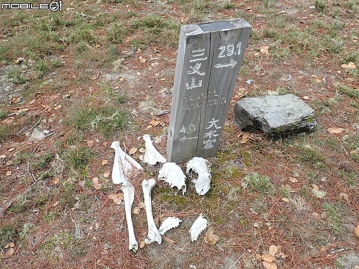 中央山脈大縱走17天(破紀錄)完百旅(904~920)(文長慎入)