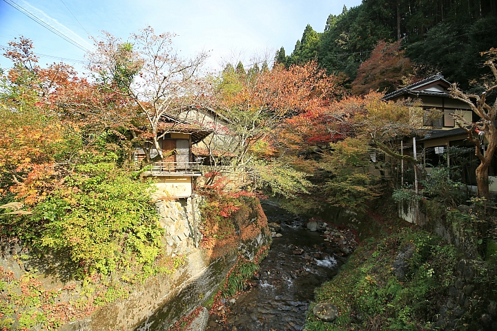 2018京阪神紅葉親子自由行