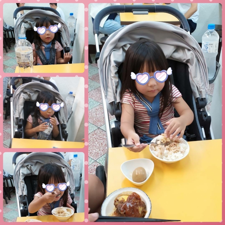 UPPAbaby vista 試車心得分享