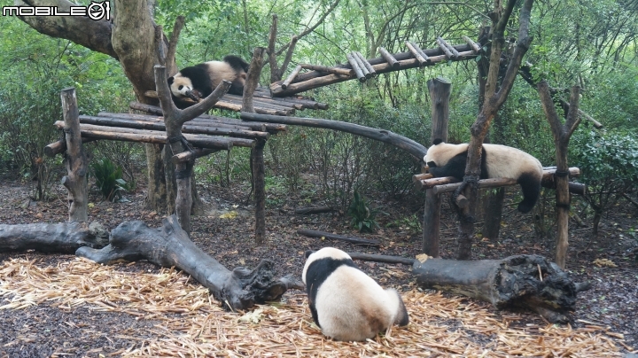 中國四大車展之一 : 2019/9 成都國際車展