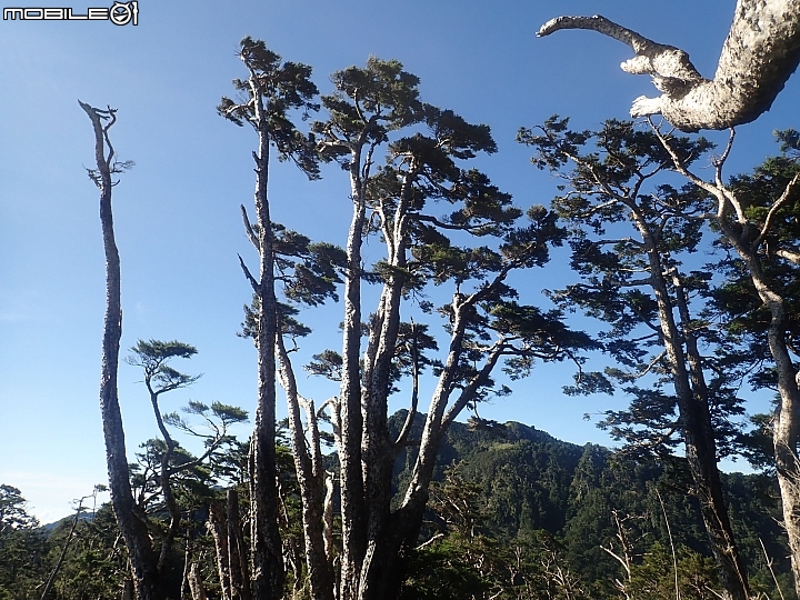 中央山脈大縱走17天(破紀錄)完百旅(904~920)(文長慎入)