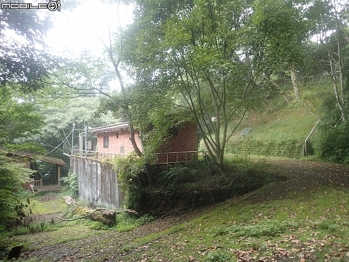 中央山脈大縱走17天(破紀錄)完百旅(904~920)(文長慎入)