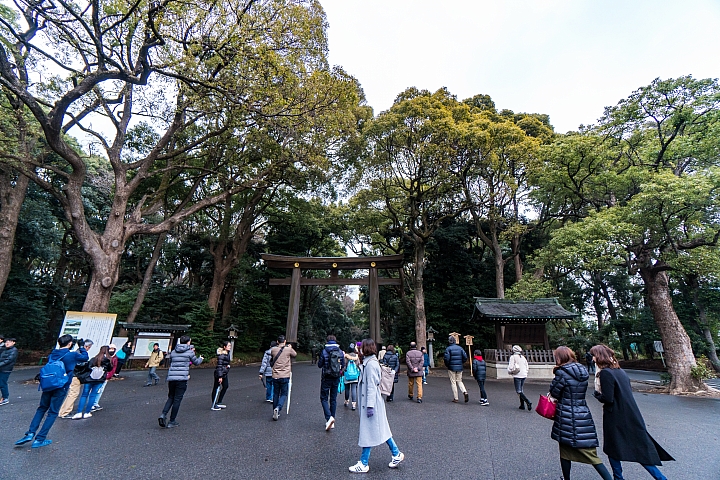 點我看大圖 2019 東京過年 (五天四夜行程分享) 文長圖多