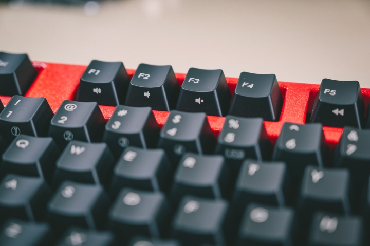 【開箱】 Filco 工房 Majestouch Convertible 2 - Lacquer AKAKINSUNAKO(漆・金梨地 赤金砂子塗り) 雙模茶軸機械鍵盤