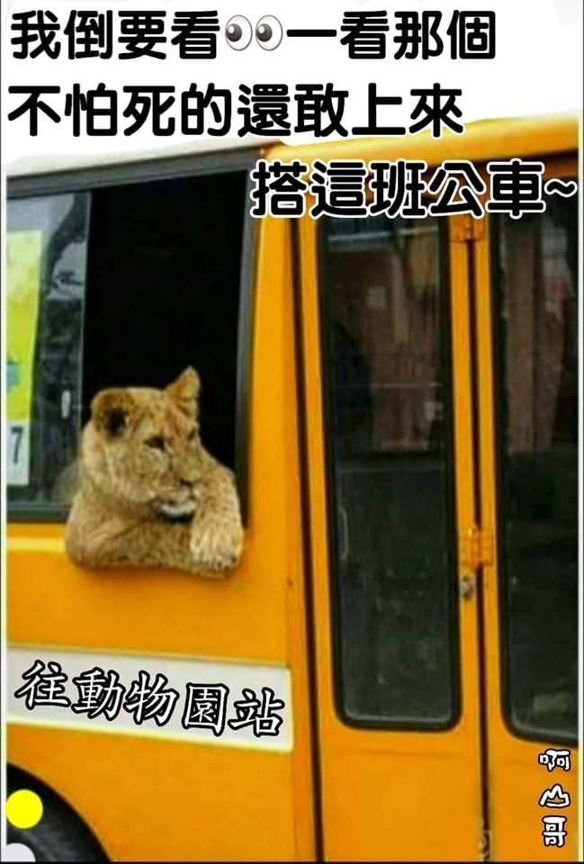 這種公車.有人敢坐嗎