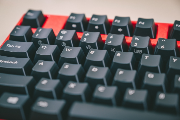 【開箱】 Filco 工房 Majestouch Convertible 2 - Lacquer AKAKINSUNAKO(漆・金梨地 赤金砂子塗り) 雙模茶軸機械鍵盤