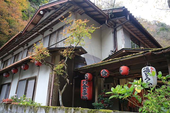 2018京阪神紅葉親子自由行