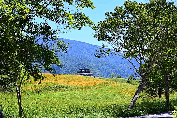 點我看大圖 六十石山實拍:旅遊只帶一顆85mm F1.8 S的可行性,算是還ok!但可能需要手機幫忙。