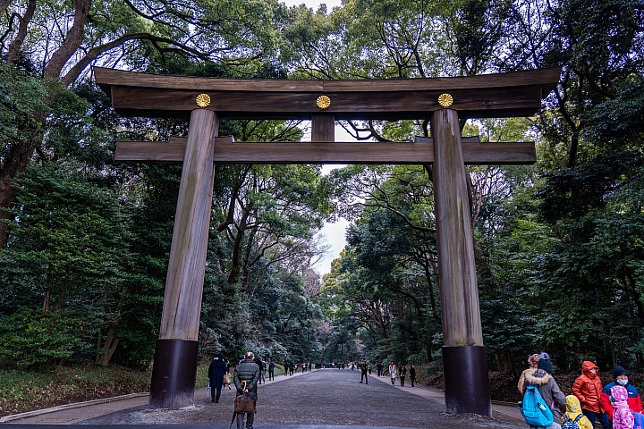 點我看大圖 2019 東京過年 (五天四夜行程分享) 文長圖多