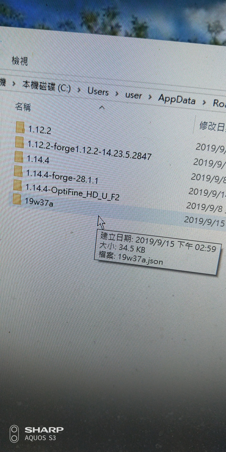 我的世界PC Forge無法安裝