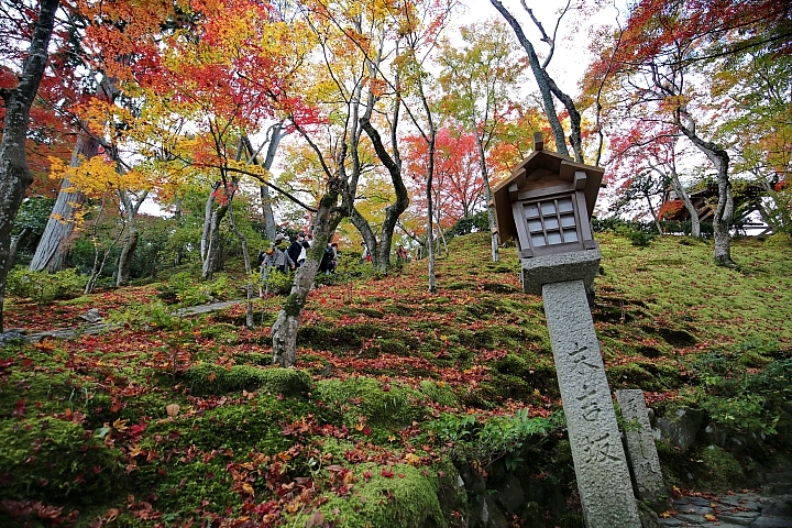 2018京阪神紅葉親子自由行