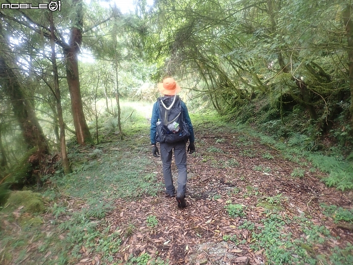中央山脈大縱走17天(破紀錄)完百旅(904~920)(文長慎入)