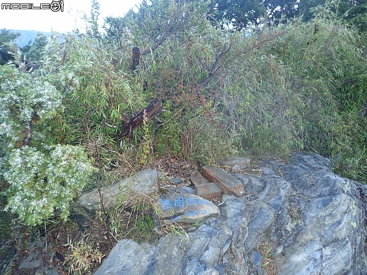 中央山脈大縱走17天(破紀錄)完百旅(904~920)(文長慎入)