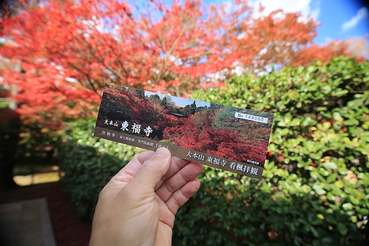 2018京阪神紅葉親子自由行