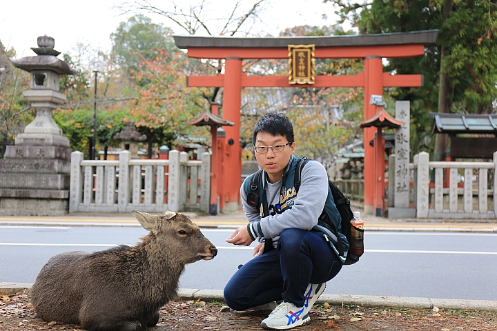 2018京阪神紅葉親子自由行