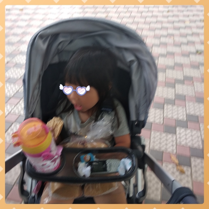 UPPAbaby vista 試車心得分享