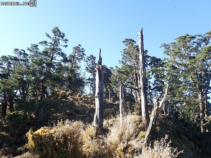 中央山脈大縱走17天(破紀錄)完百旅(904~920)(文長慎入)