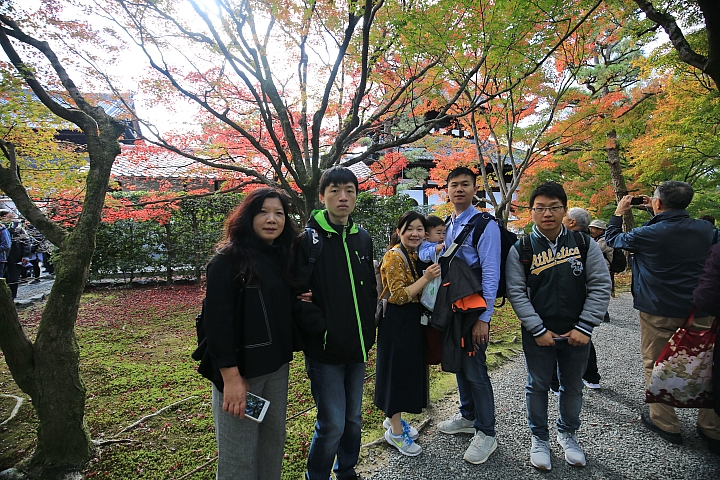 2018京阪神紅葉親子自由行