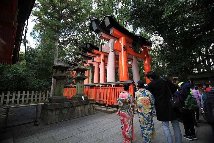 2018京阪神紅葉親子自由行