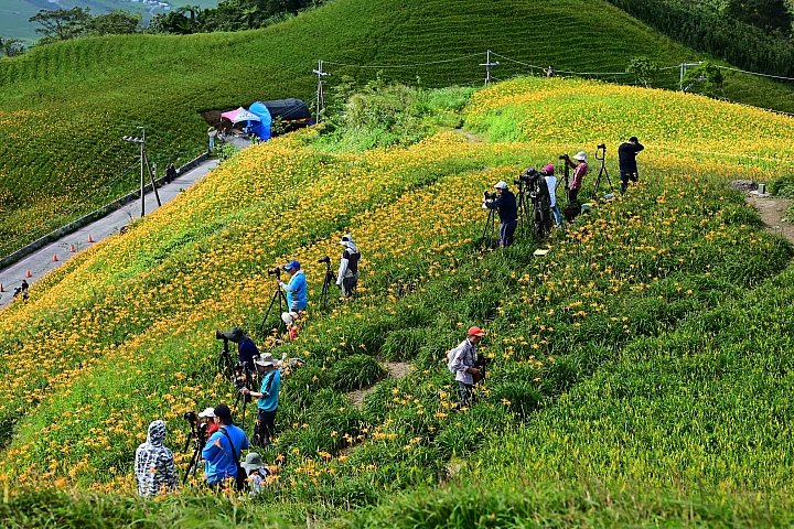 點我看大圖 六十石山實拍:旅遊只帶一顆85mm F1.8 S的可行性,算是還ok!但可能需要手機幫忙。